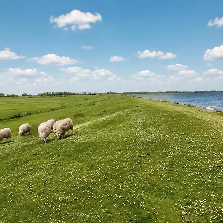 Vakantiewoning Rijnsaterwoude Vp117 *
